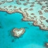 ハミルトン島ハートリーフ